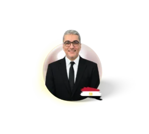 Prof Mohamed Abo El-Leil
